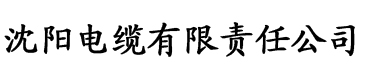 先锋影音av电缆厂logo